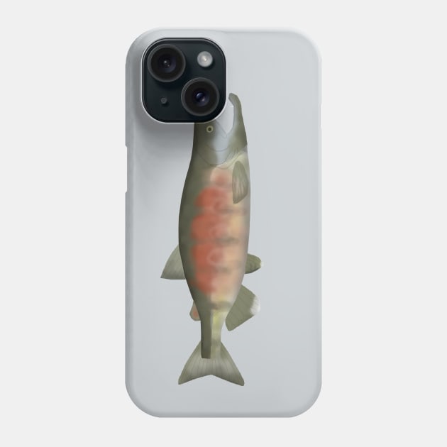 Chum Salmon - Spawn Phase Phone Case by FishFolkArt