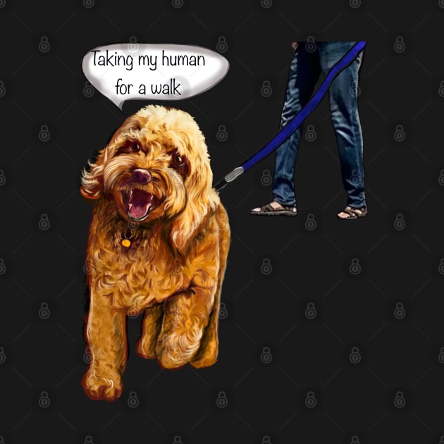 Cavapoo puppy dog - Taking my human for a walk - cavalier king charles spaniel poodle, puppy love by Artonmytee