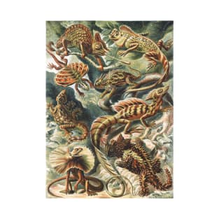 Lizard Art Print Ernst Haeckel T-Shirt