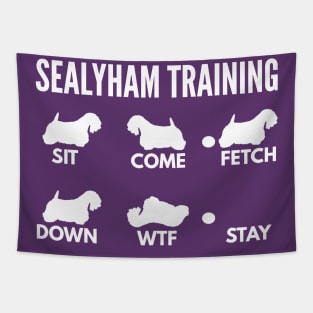 Sealyham Training Sealyham Dog Tricks Tapestry