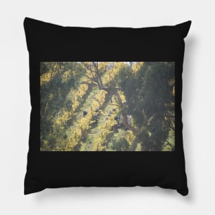 Vertical Vines - Magpie Springs - Adelaide Hills Wine Region - Fleurieu Peninsula - Winery Pillow