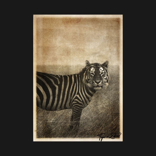 Tiger and Zebra Surreal mashup by DavoliShop