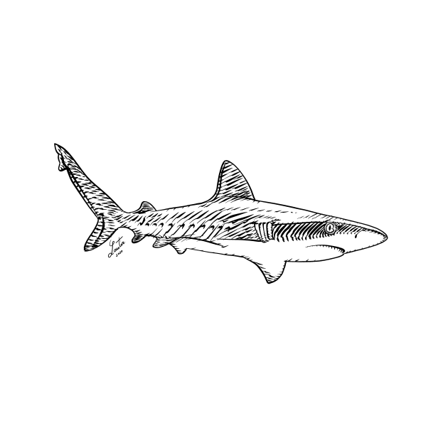 SHARK in black and white by lautir