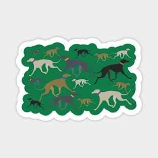 Lots of Greyhounds trotting Magnet