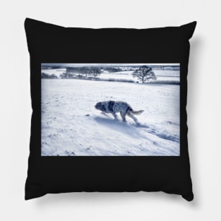 Snow blizzard Spinone Pillow