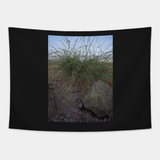 green grass on the beach Tapestry