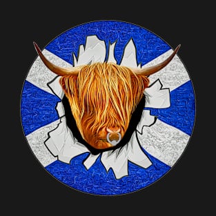 Highland Cattle through the wall scottish T-Shirt