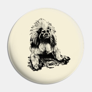 Cotton-top tamarin Pin