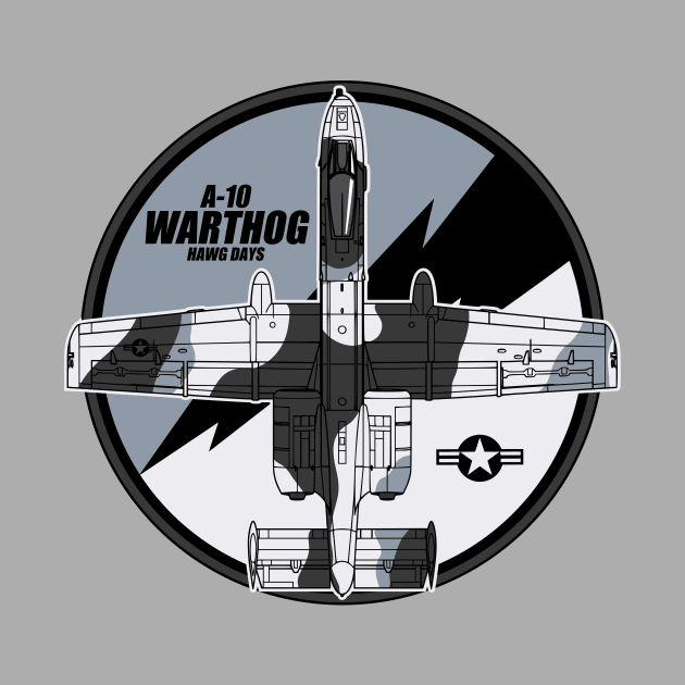 A-10 Warthog Winter Scheme by Tailgunnerstudios