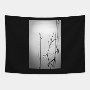 Reflexion Tapestry