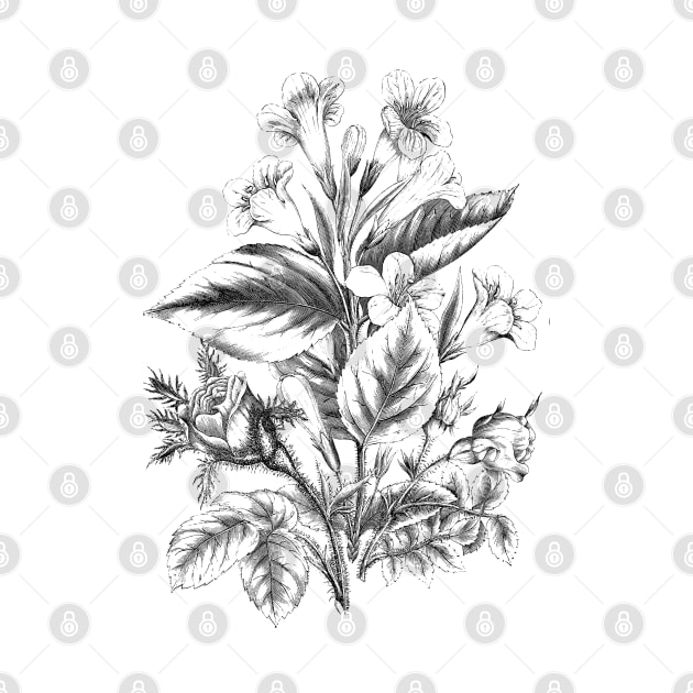 Wildflower Vintage Botanical Illustration by Biophilia