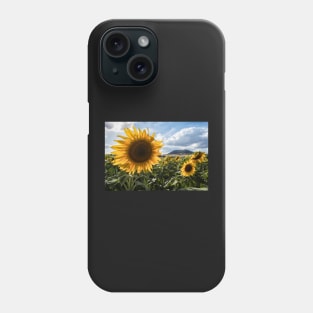 Late Summer Sunflowers Phone Case