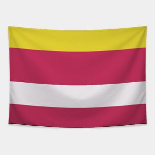A fashionable stew of Very Light Pink, Dark, Almost Black, Dark Pink and Piss Yellow stripes. Tapestry