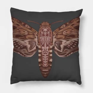 Death head moth anatomy Pillow