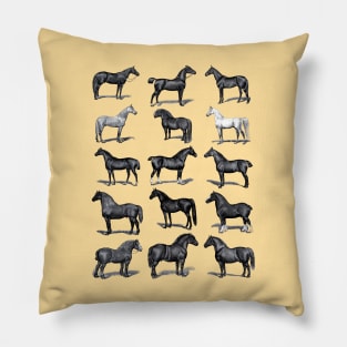 Vintage Horse Breed Chart Pillow