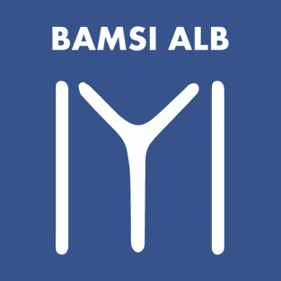 Bamsi Alb Kayi Flag Ertugrul Bey Kurulus Osman Drillis Ottoman Empire Turkey Istanbul Gift T-Shirt