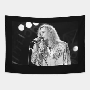 Robin Zander BW Photopgraph Tapestry