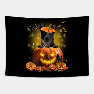 Blue Heeler Spooky Halloween Pumpkin Dog Head Tapestry