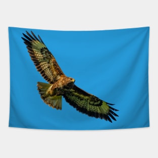 Buzzard Tapestry