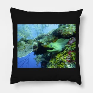 That's A Moray Pillow