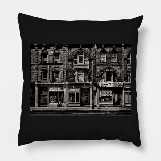 Books and Breaks and Butchers Pillow by learningcurveca