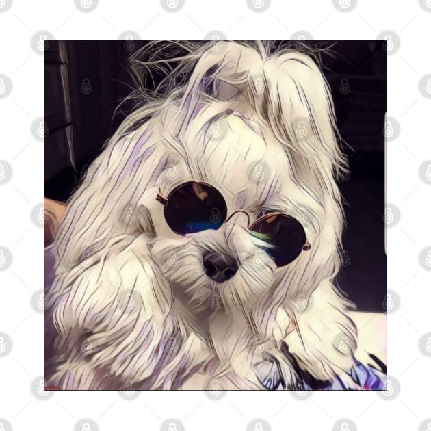 Maltese Coco the model, maltese dog, maltese, maltese puppy, dog model, white dog, dog products by roxanegabriel