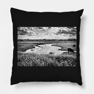 Ham Marshes Pillow