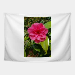 Camellia Tapestry