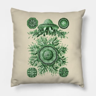 Ernst Haeckel Discomedusae Jellyfish Plate 28 Green Pillow