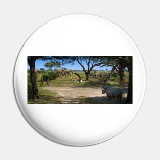 Australopithecus afarensis landscape (C015/5361) Pin