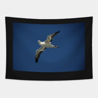 Flypast Tapestry