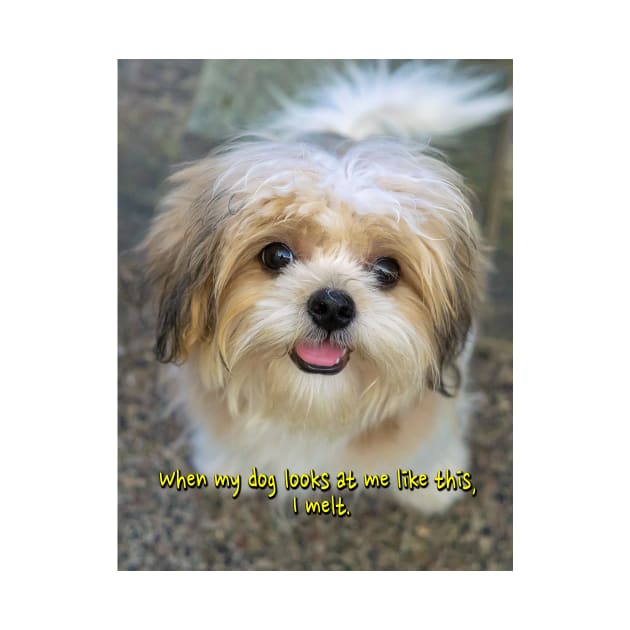 When my dog looks at me like this, I melt. Love Dogs TShirt