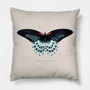 Butterfly - Blue Mormon Butterfly, Polymnestor Butterfly, Papilio Polymnestor Pillow