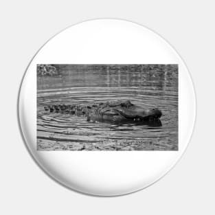 Gator In Black And White Pin