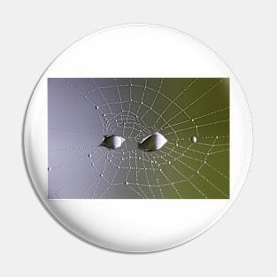 Spider web Pin