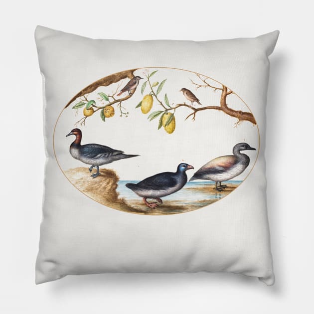 Three Waterfowl with Two Birds Perched in Citrus Trees (1575–1580) Pillow by WAITE-SMITH VINTAGE ART