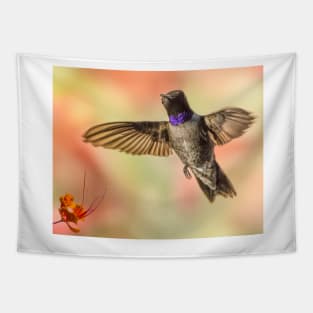 Black-chinned Hummingbird Tapestry