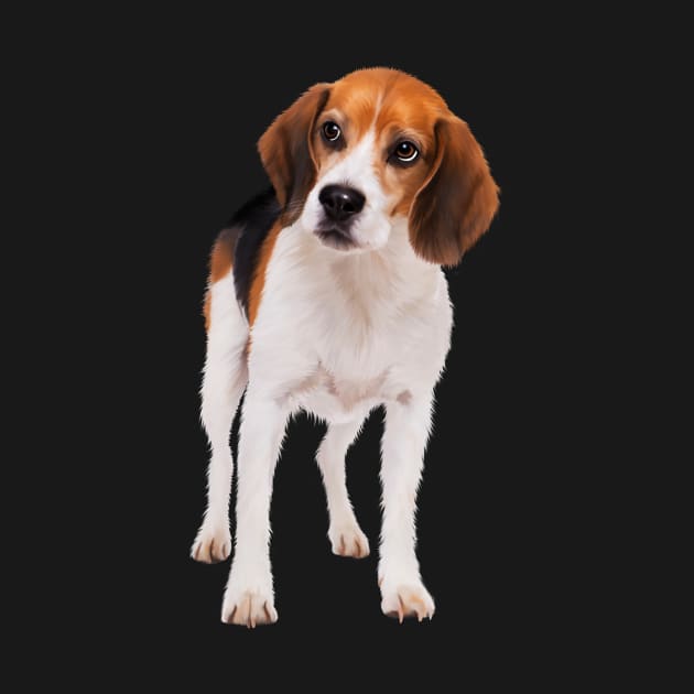 Beagle Dog, Love Beagle Dogs by dukito