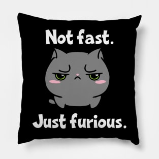 Not Fast Just Furious Cat Pillow