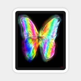 Butterfly Wings Magnet