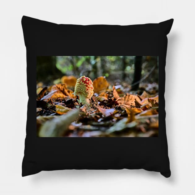 Fly agaric or fly amanita (Amanita muscaria) Pillow by mbangert