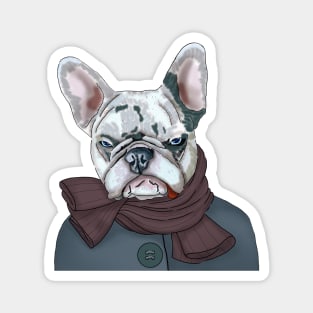 Frnch bulldog in scarf and coat Magnet