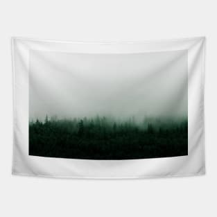 Misty Mountain Forest in the Rain Tapestry