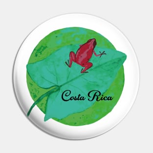 Red frog Pin