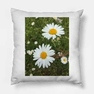 The Daisy Chain - A childhood memory sitting in the sun and making jewellery! Pillow