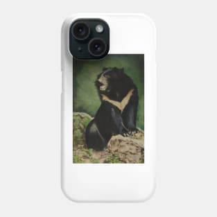 Sun Bear, Surveying........:o) Phone Case