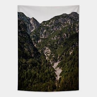 Green Mountain Side Tapestry