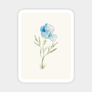 Blue Poppy Sketch in Pen, Ink and Watercolor Magnet