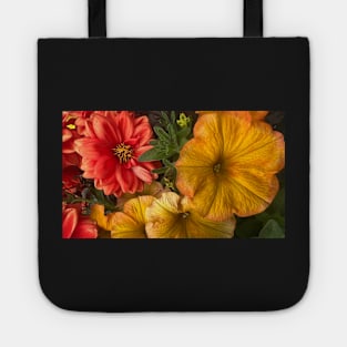 Fall Explosion of Riotus Petunia and Dahlia Color Tote