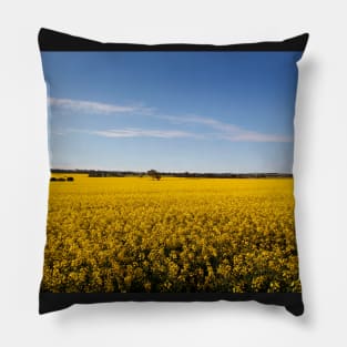 Rural sea of Canola Pillow